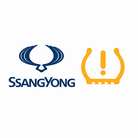 Senzori presiune roti SsangYong TPMS